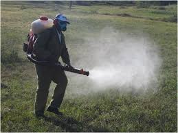 How long do you have to take the enrolled agent exam? The Use Of Indigenous Ecological Resources For Pest Control In Africa Springerlink