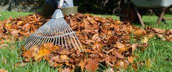 These fall lawn care tips will help you carry out the most essential preparations required to get your lawn ready for the next season and make it healthy. Fall Lawn Maintenance Tips
