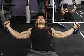 In an attempt to point out the pectoralis major the tutor attempted to flip the cadaver. Build Your Best Chest 5 Must Do Pec Exercises Bodybuilding Com