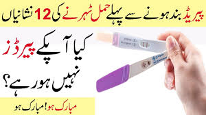 The pregnancy test was positive and you felt good about it. Pregnancy Symptoms Before Missed Period Pregnancy Symptoms In Urdu Youtube