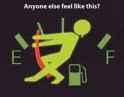 Crazy Day Funny Pictures Funny Quotes Humor