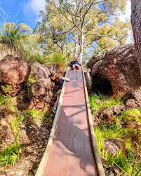 Profile for Serpentine Jarrahdale Trails Inc.