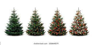 Arbol De Navidad Imagenes Fotos De Stock Y Vectores Shutterstock