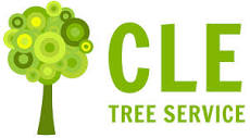 Tree Service in Cleveland, OH | CLE Tree Service