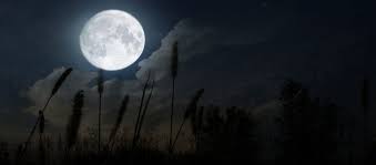 We couldn't do this alone and we thank all our wonderful sponsors. Why No Ashtanga Practice On Moon Days Ashtanga Yoga Heidelberg