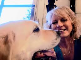 Labrador pictures help with grief