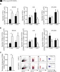 If there was personal property that you were going to use but no longer could because of the accident, then you can seek compensation. Adoptive Transfer Of Il13ra2 Specific Chimeric Antigen Receptor T Cells Creates A Pro Inflammatory Environment In Glioblastoma Molecular Therapy