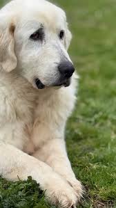 Logan❤️❤️❤️❤️