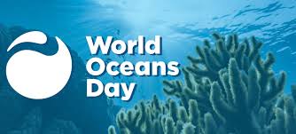 It's that time of year when the world takes a moment to celebrate its ocean and reflect on how to best to protect them. World Oceans Day Deutsch Amerikanisches Institut Haus Der Kultur