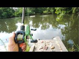 Flair Youtube In 2021 Fish Frog Fire