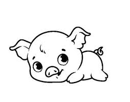 Porco Adoravel Para Colorir Imprimir E Desenhar Colorir Me