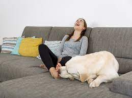 What Does It Mean When A Dog Licks Your Feet
