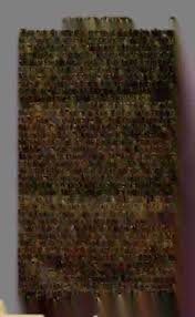 Image result for Vernonia accommodata