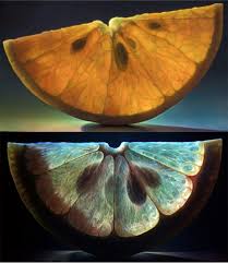 Time Flies Like An Arrow Fruit Flies Like A Banana Origin The Flea February 2012 Archives