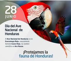 Partido nacional de honduras (pnh) archivo:national party of honduras logo.png presidente porfirio lobo sosa. Facebook