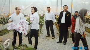 Check spelling or type a new query. Pesona Manohara Di Mata Anak Donald Trump Dan Pangeran Kelantan Showbiz Liputan6 Com