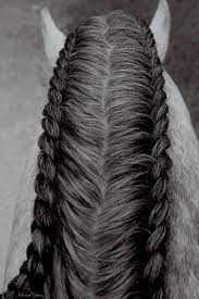 Horse Hair Styles Horse Braiding Horse Mane Braids Horse Hair Braiding
