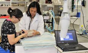 Pet animal hospital and research institute. Pet Central Animal Hospital Veterinarian In Minneapolis Minnesota Us Veterinary Hospital