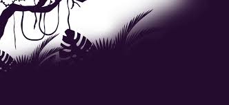 Payouts - Tiger Funded