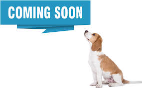 Maybe you would like to learn more about one of these? Shop Sarasota Veterinarian Southgate Animal Hospital