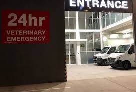 Fish creek pet hospital is an animal hospital located in calgary, alberta. Sutherland Shire 24 Hour Animal Hospital Vsos