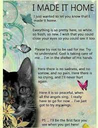 I Made It Home Cat Quotes Pet Memorials Close Your Eyes