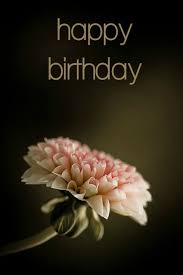 Sunflowers are the perfect way to celebrate the birth of someone with a sunny disposition. Birthday Wishes Expert Wishes Quotes And Birthday Messages Beautiful Flowers Love Flowers Flowers