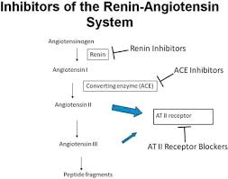 Renin Inhibitors An Overview Sciencedirect Topics