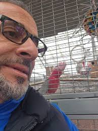 ATHENÉE ROYAL DE LAEKEN