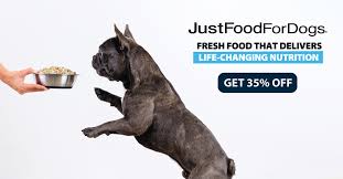 We did not find results for: Green Lipped Mussels For Dogs What S All The Fuss The Pet Lifestyle Guru