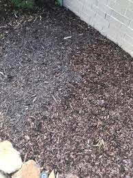 You can see your nearest walmart pharmacy official website. 2cf Year Long Brown Mulch Walmart Com Walmart Com