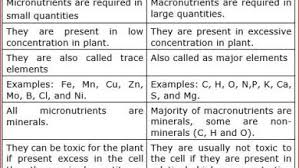 Start with lots of whole unprocessed foods to improve the nutritional quality of your diet. How Do Micronutrients Differ From Macronutrients