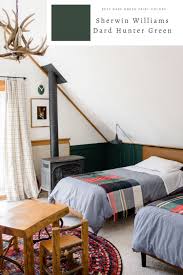 Image result for Dark Hunter Green 1996 AAV