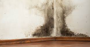 That should be easy by replacing the water heater. How To Prevent Mold In Your Basement This Old House