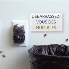 Pest Reject Le Repulsif A Nuisibles Qui Protege Instantanement Votre Logement Video En 2020 Creations D Automne Pour Enfant Trucs Et Astuces Maison Nettoyage De Maison