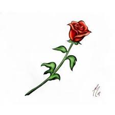 Red Rose With Stem Tattoo Fhqpphq0 Jpg 298 298 Single Rose Tattoos Red Rose Drawing Purple Rose Tattoos