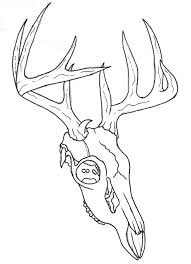 Then find the center line. How To Draw A Deer Skull Easy Learn How To Draw