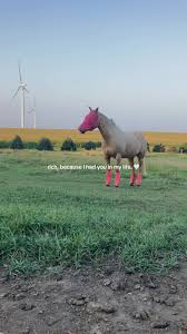 #CapCut Missing Blue Bells a little extra lately 🤍🤍