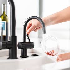 insinkerator f h3300mblk indulge modern