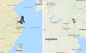 Turned on one side it is 3o3, and on the other side it is eoe. This Map Shows Where Would You End Up If You Dug Straight Through The Earth And Flat Earthers Won T Like It Demilked