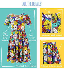 Lularoe Amelia a XX-Small Diagonal Stripe XXS-220 Full Skirt Pleated Hidden  Pocket Dress XXS fits Women Sizes 00-0 at Amazon Womens Clothing store