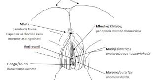 We keep this site updated for every day with fresh hot girls. Mai Chibwe Vekwazimuto Kuziva Mamirire Akaita Mukadzi Murume