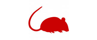 Is located in jefferson city of south carolina state. Rollins Pest Control Inc Lancaster Camden Rock Hill Fort Mill Sc Exterminator