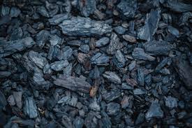 Coal is formed when dead plant matter decays into peat and is converted into coal by the heat and pressure of deep burial over millions of years. The Coal Price Has Skyrocketed In 2021 What It Means For Net Zero