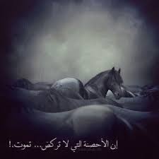 إن الأحصنة الي لا تركض تموت حصان ركض جري موت عجز خيل خيول كلمات كلام تصميم تصاميم تصميمي بالعربي صور صورة horses animals beautiful pretty horses