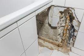 Austauschen mit diesen kosten ist zu rechnen an materialkosten fallen zunächst kosten für die badewanne und den dazugehörigen träger aus styropor an. Badewanne Austauschen Mit Diesen Kosten Ist Zu Rechnen