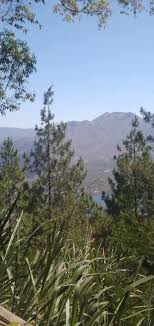 Cara menggambar pemandangan gunung yang mudah | gambar prhunungan dan bukit hijau yang gampang untuk pemula.hi, selamat datang di channel tafsi drawing. Gunung Pegunungan Pemandangan Gunung Pegunungan
