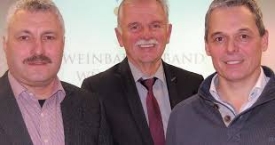 Hohl bleibt Präsident des Weinbauverbandes Württemberg