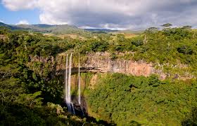 Travelers like you have written 254,738 reviews and posted 19,383 candid photos for mauritius hotels. Mauricio