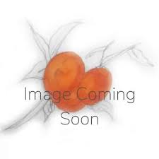 Autumnstar® Peach Tree